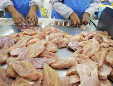 Албания залови 50 тона бразилско пилешко месо със салмонела