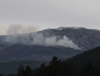 Пожар гори край Бистрица