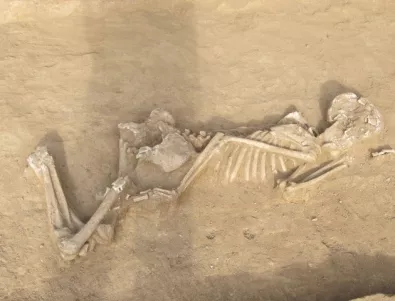Експерт: Трябва да се уведоми местният музей за намерените кости в Китен