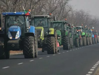 Зърнопроизводителите за момента не готвят протести 