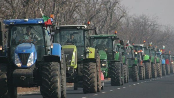 Зърнопроизводителите за момента не готвят протести 