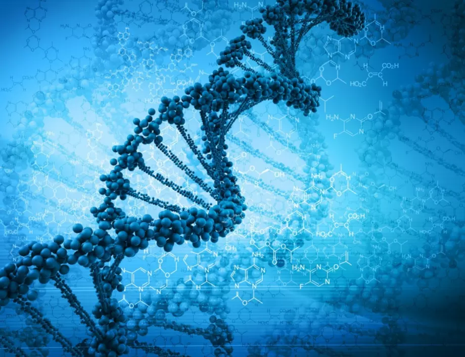 Разработват приложение за запознанство с използването на ДНК