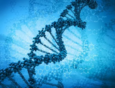 Генни инженери създадоха сложна синтетична хромозома