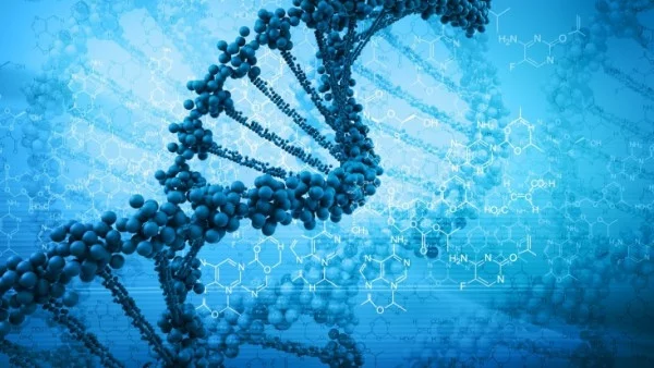 Генни инженери създадоха сложна синтетична хромозома