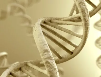 Учени създадоха организъм с несъществуваща в природата ДНК структура