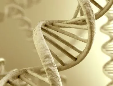 Сензационно ново разкритие за ДНК-то ни