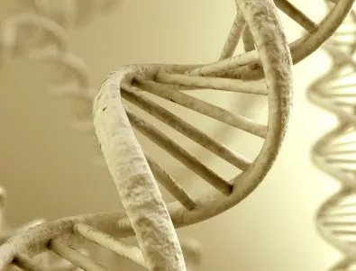 Учените вече редактират човешката ДНК с точност до една 