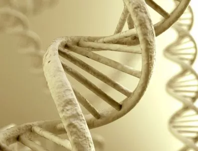Успехът в живота се предсказва по гените