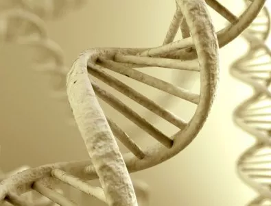 В САЩ одобриха генетични експерименти с хора 