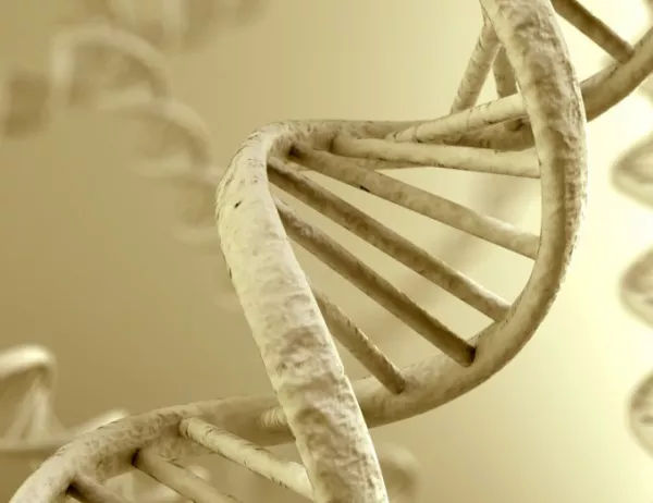 Учени успяха да отстранят гени при човешки ембриони 