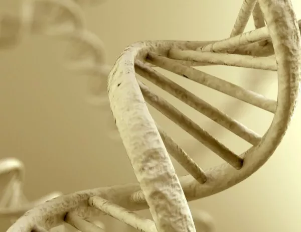 Мащабен ДНК тест започва в Холандия заради убийство на дете