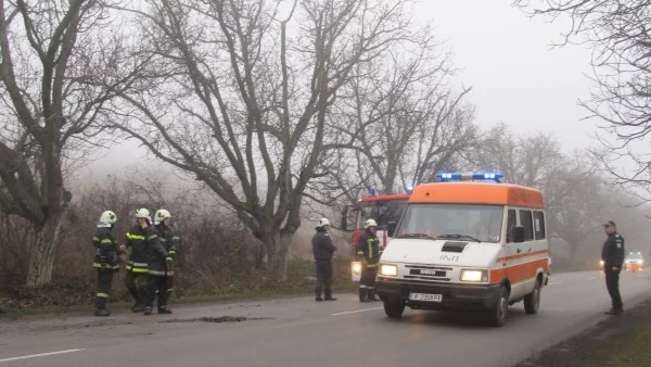 Баба и внучета в болница след тежка катастрофа