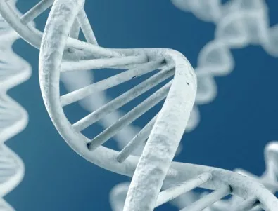 Кампания за забавяне на стареенето има за цел да създаде най-голямата база данни от геноми