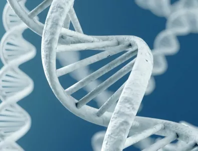 Молекулата на ДНК като флашка