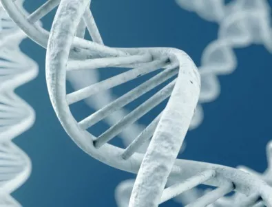 Мащабно изследване разкрива динамиката на 70 белтъка, участващи в поправката на ДНК 