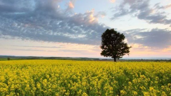 Седмицата започва с променливо време