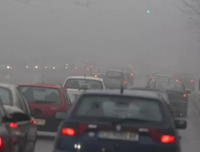 Валежи и мъгла затрудняват движението по основни пътища в страната
