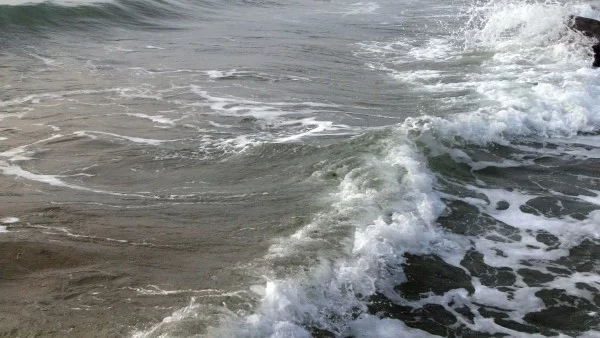 Ешерихия коли и чревни ентерококи са открити в морската вода във Варна