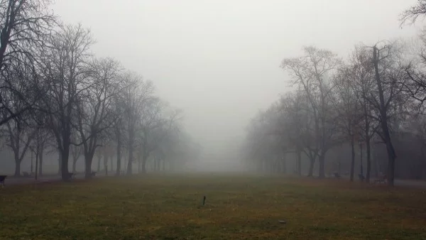 Мъглива неделя