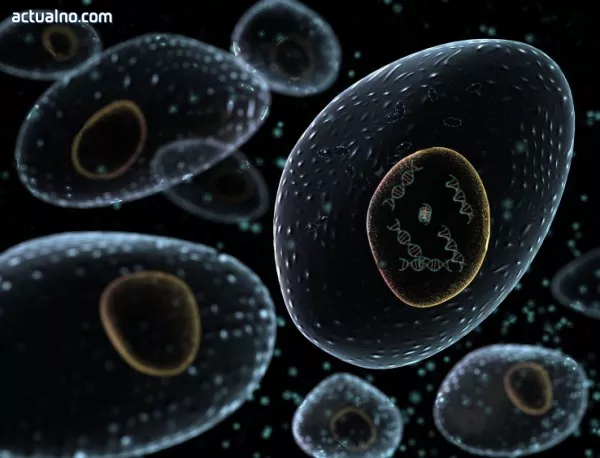 Учени създадоха "жива" клетка от пластмаса
