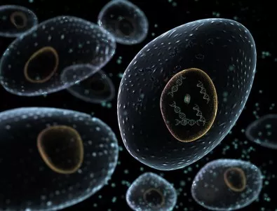 Нанороботи ще унищожават злокачествените клетки в човешкия организъм