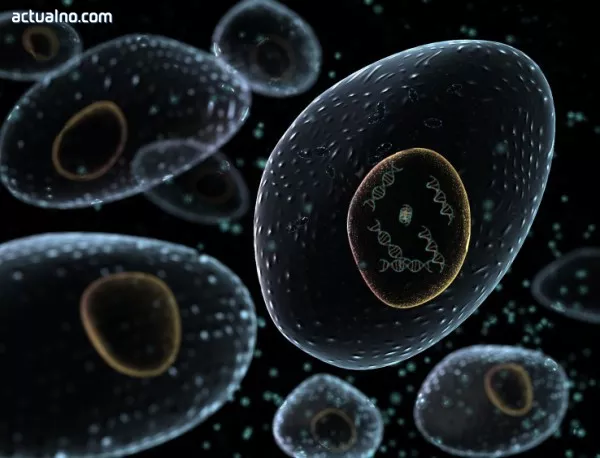 Нанороботи ще унищожават злокачествените клетки в човешкия организъм