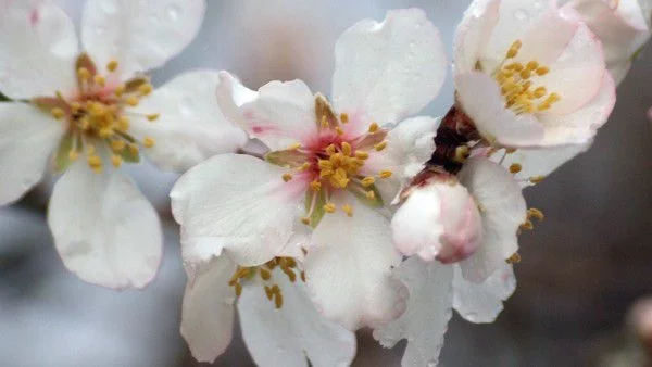 Облачен и дъждовен петък