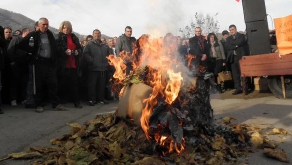 Тютюнопроизводителите пак излизат на протест