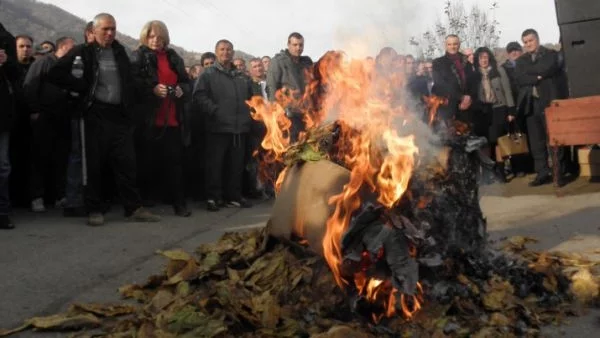 Тютюнопроизводителите плашат с протести, блокади и гладни стачки