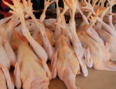 Тръгват проверки за хормони в пилешкото месо