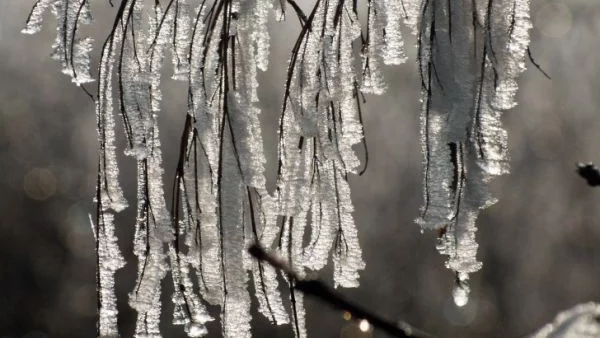 Минус 31 градуса на Нова година в Румъния