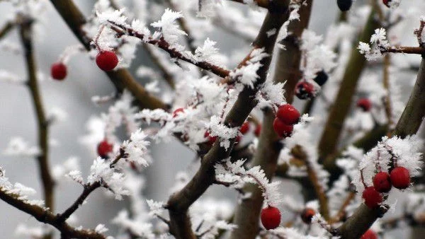 Температурите ще се повишат, максималните между 3° и 8°