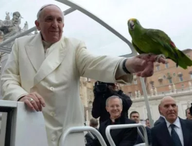 Папагал на порнозвезда на аудиенция при Папата