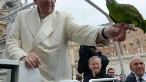 Папата: Можете да биете децата си, но без да ги унижавате