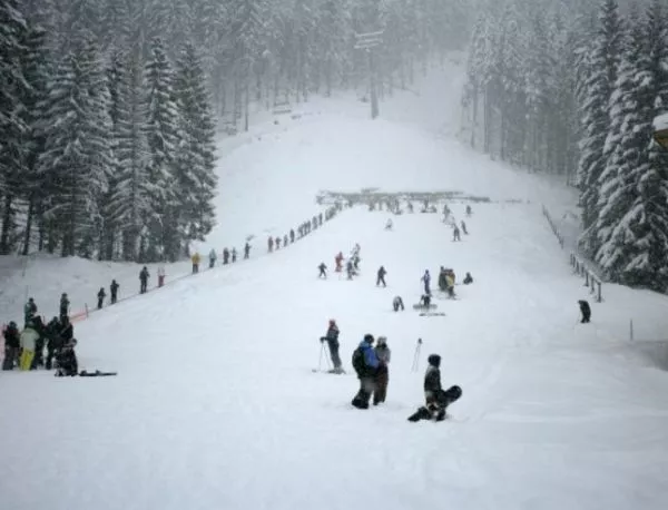 "Зелените" искат правителството да направи дебат за ски зоната в Банско 