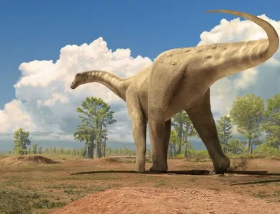 Фосил на едно от най-големите същества в историята на Земята бе открит в Китай