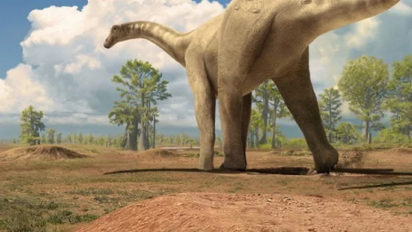 Фосил на едно от най-големите същества в историята на Земята бе открит в Китай