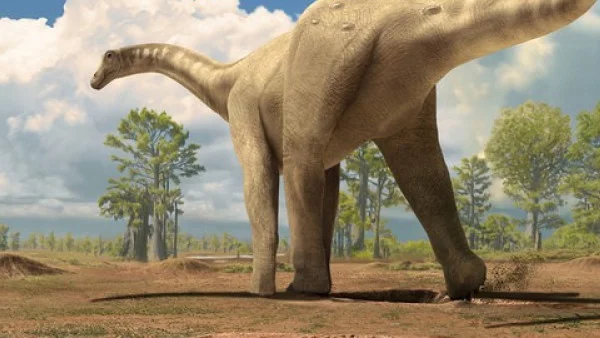Гени на потомците на динозаврите крият лечебна тайна