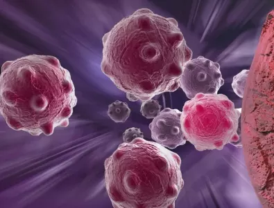 Учени ще се опитат да създадат лекарство срещу рак