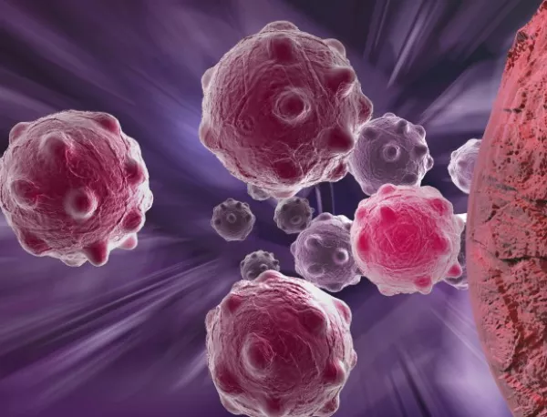 Биолозите разкриха тайната на туморите вампири