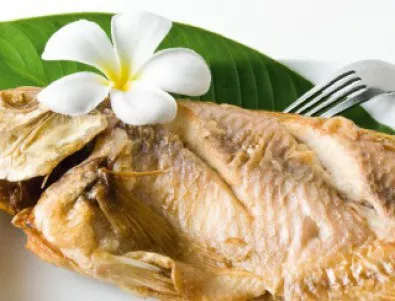 Кулинарни конкурси в Община Своге представят множество рибни шедьоври 