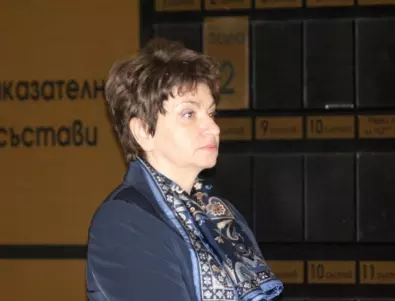 Меглена Плугчиева: Не виждам възможност правителството на Габриел да получи подкрепа