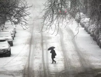 Снежна буря прекъсна електрозахранването в Естония, десетки хиляди хора без ток поне още ден (СНИМКИ)