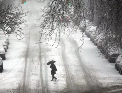 Четири жертви на снежна буря в  щата Ню Йорк