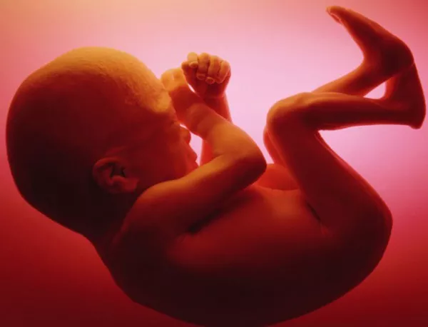 Доктори откриха 44-годишен ембрион във възрастна жена