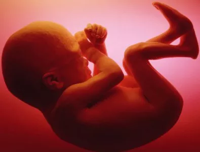 Холандия разрешава отглеждането на човешки ембриони в лаборатории