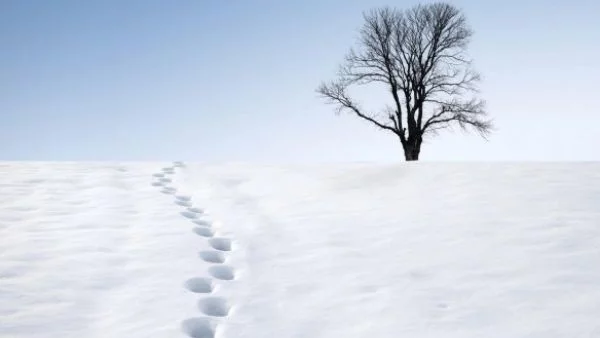 Слънце в първия ден от новата година