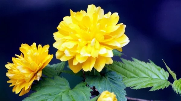 Прогноза за времето - 8 юни (петък)