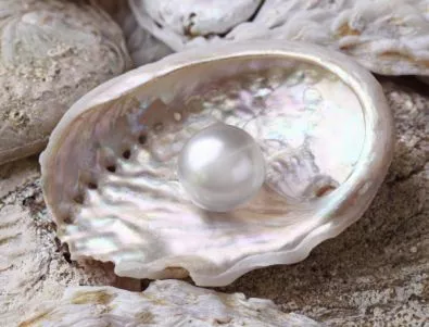 Как мидите създават перли