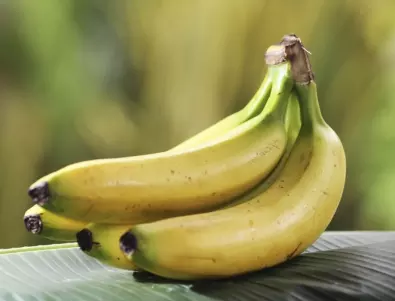 Въоръжен с банан колумбиец опита да обере погребално бюро